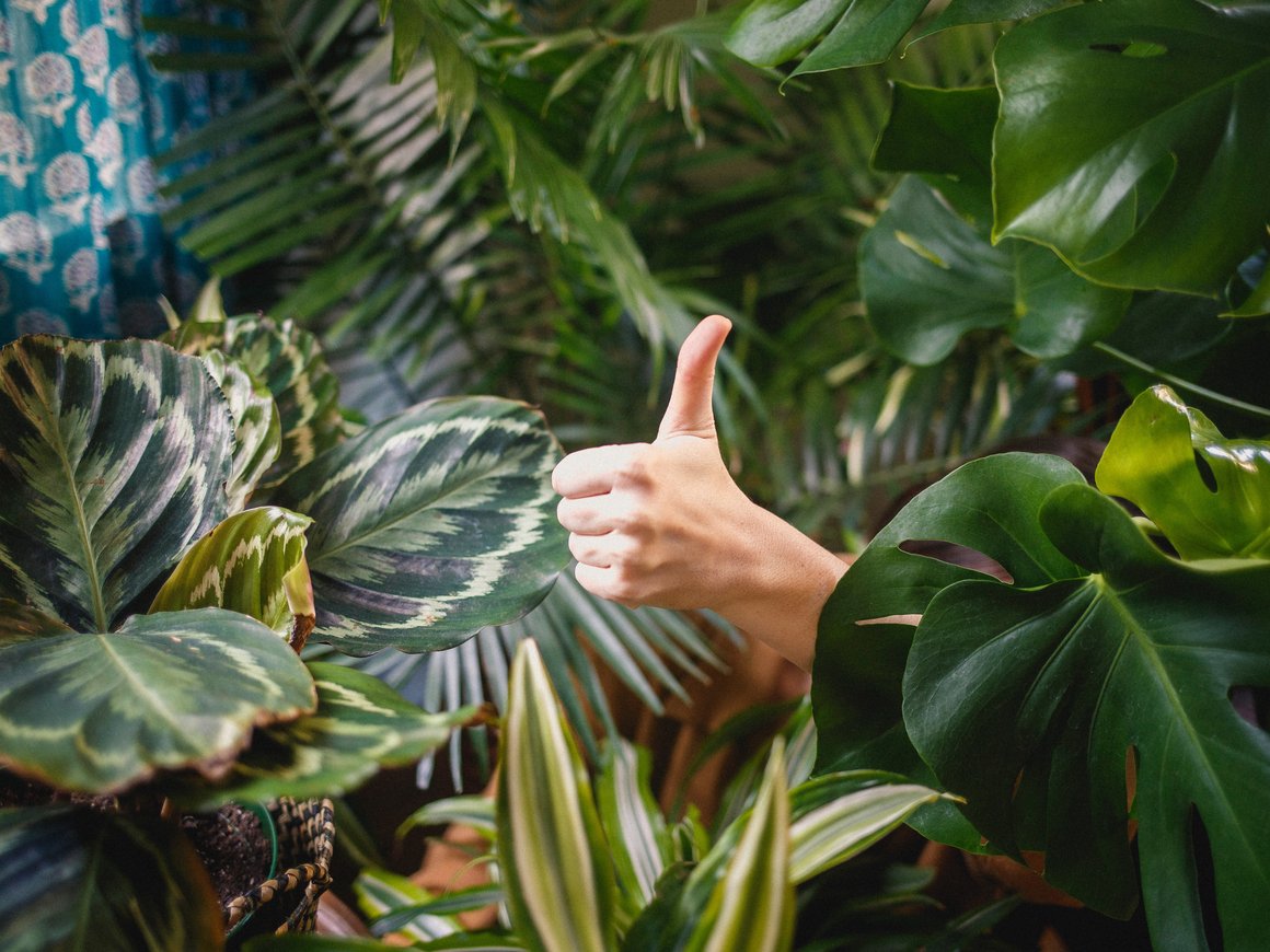 Почему пользователи расскажут о проблемах вашего продукта лучше любой аналитики