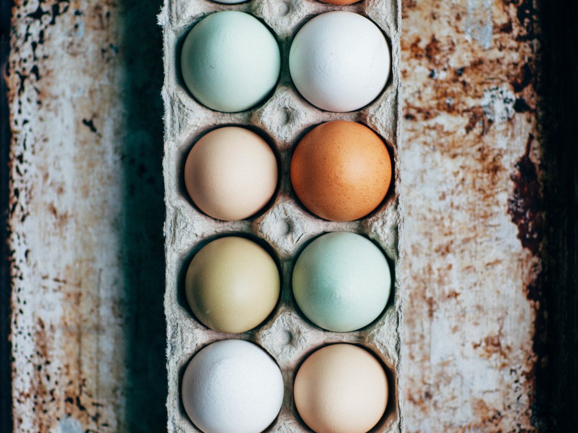 Челябинский разработчик роботов для упаковки яиц привлек 129 млн рублей инвестиций