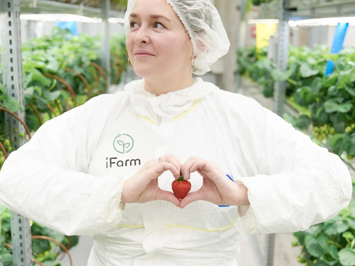 Создатель игры «Веселая ферма» ликвидирует убыточные «Городские теплицы»