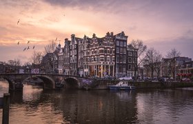 В Нидерланды по стартап-визе: основные требования и условия для переезда