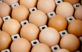 ФАС начала проверки «Перекрестка», «Магнита», «Ашана» и других торговых сетей из-за цен на яйца