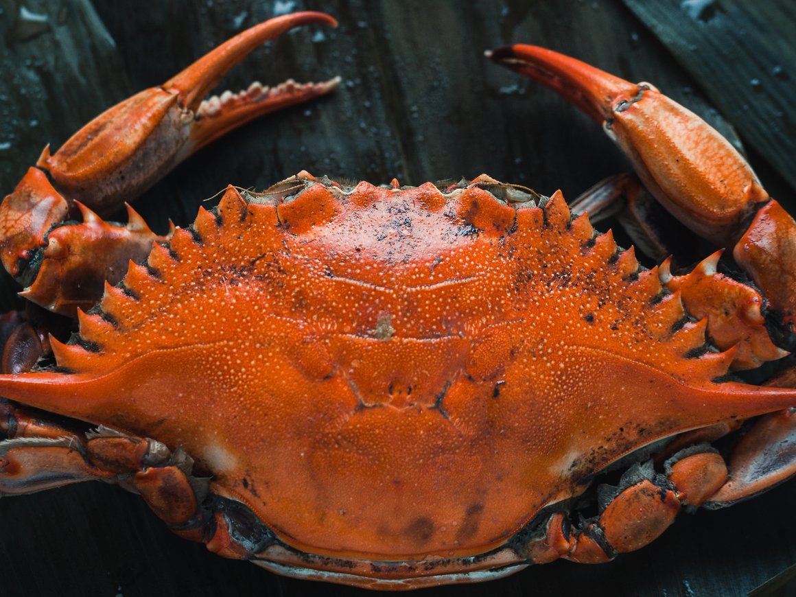 Дело подозреваемого в контрабанде краба на 2,6 млрд рублей Олега Кана передали в суд