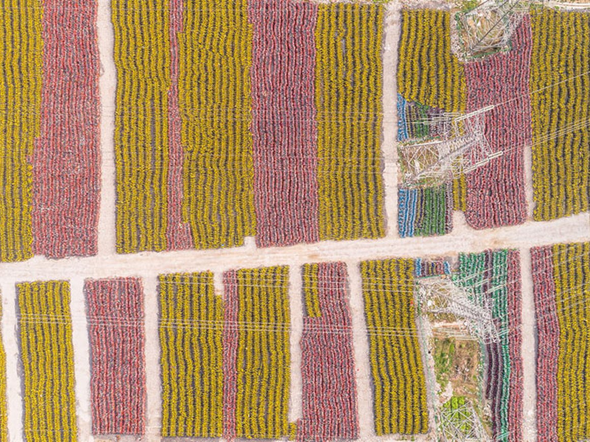 Фото: огромные свалки брошенных велосипедов в Китае