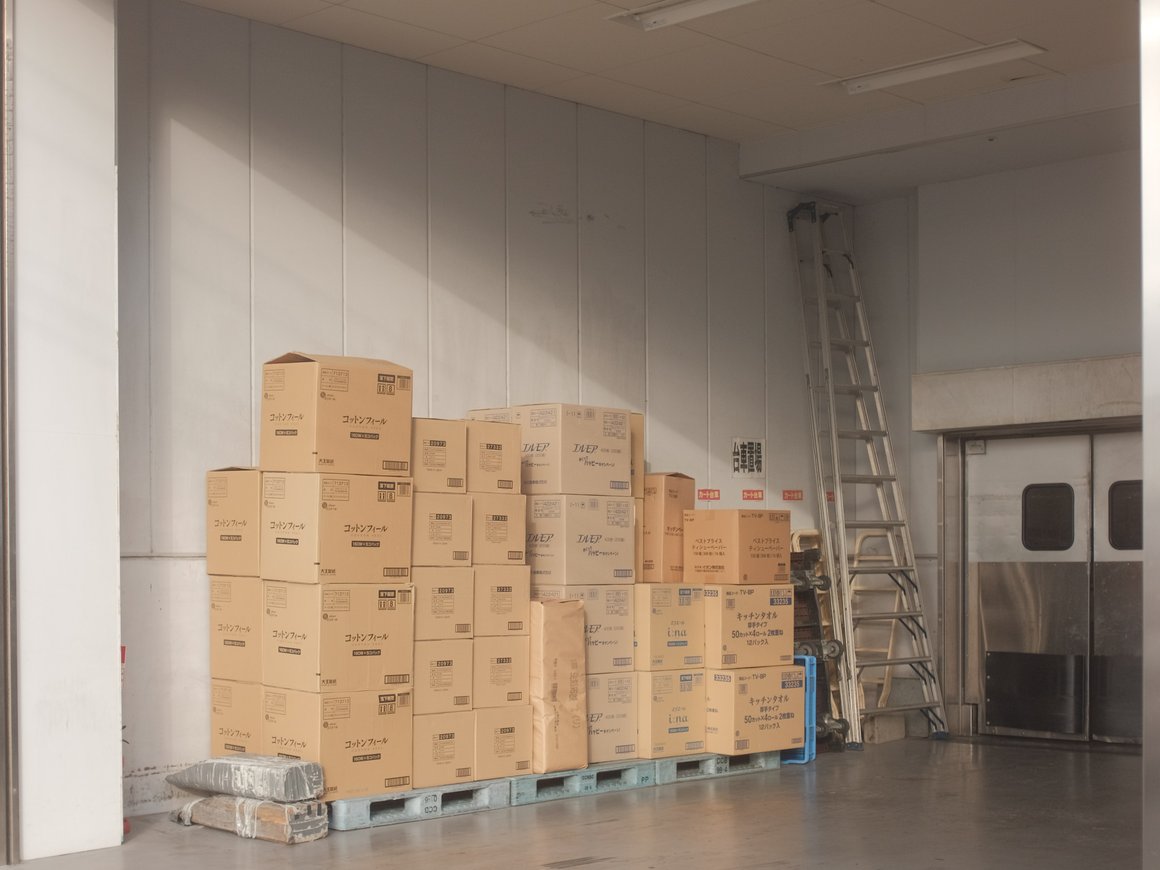 Сервис Dostavista привлек $35 млн и сменил название на Borzo