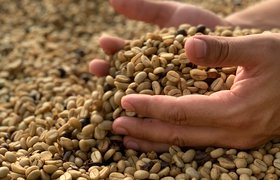 Переговоры о зерновой сделке, новые требования к управляющим рынками компаниям: главное для бизнеса 5 ноября