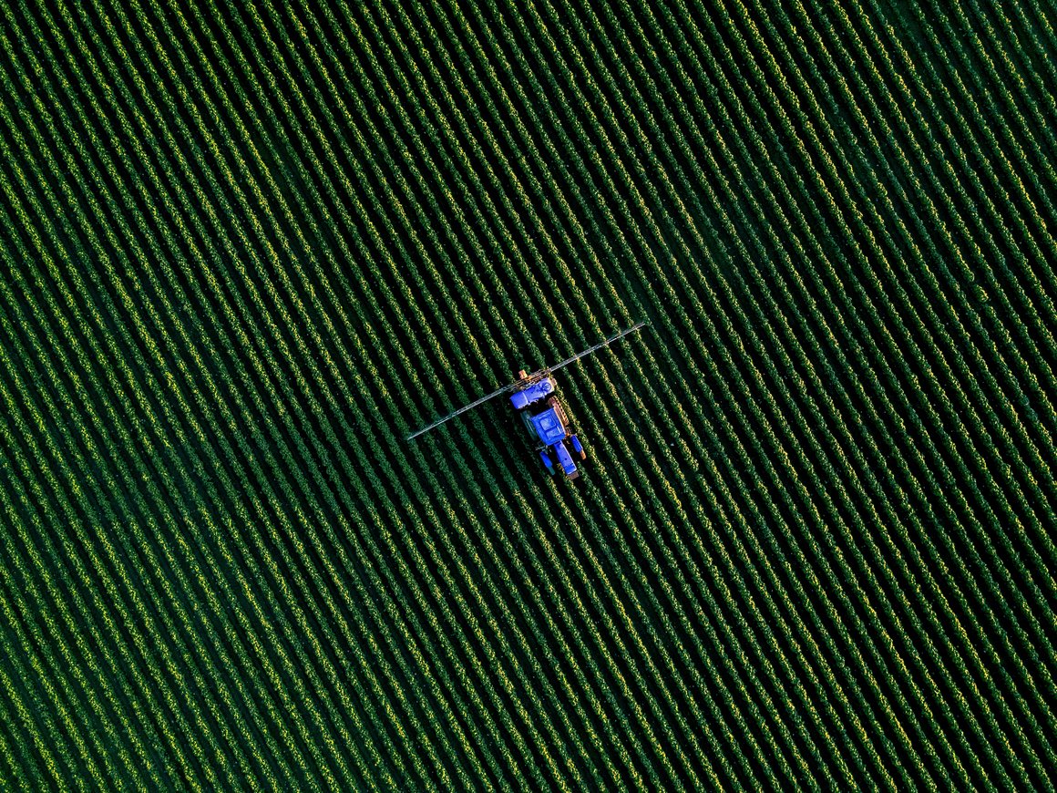 Россельхозбанк и «Сколково» запускают студенческий агротех-акселератор