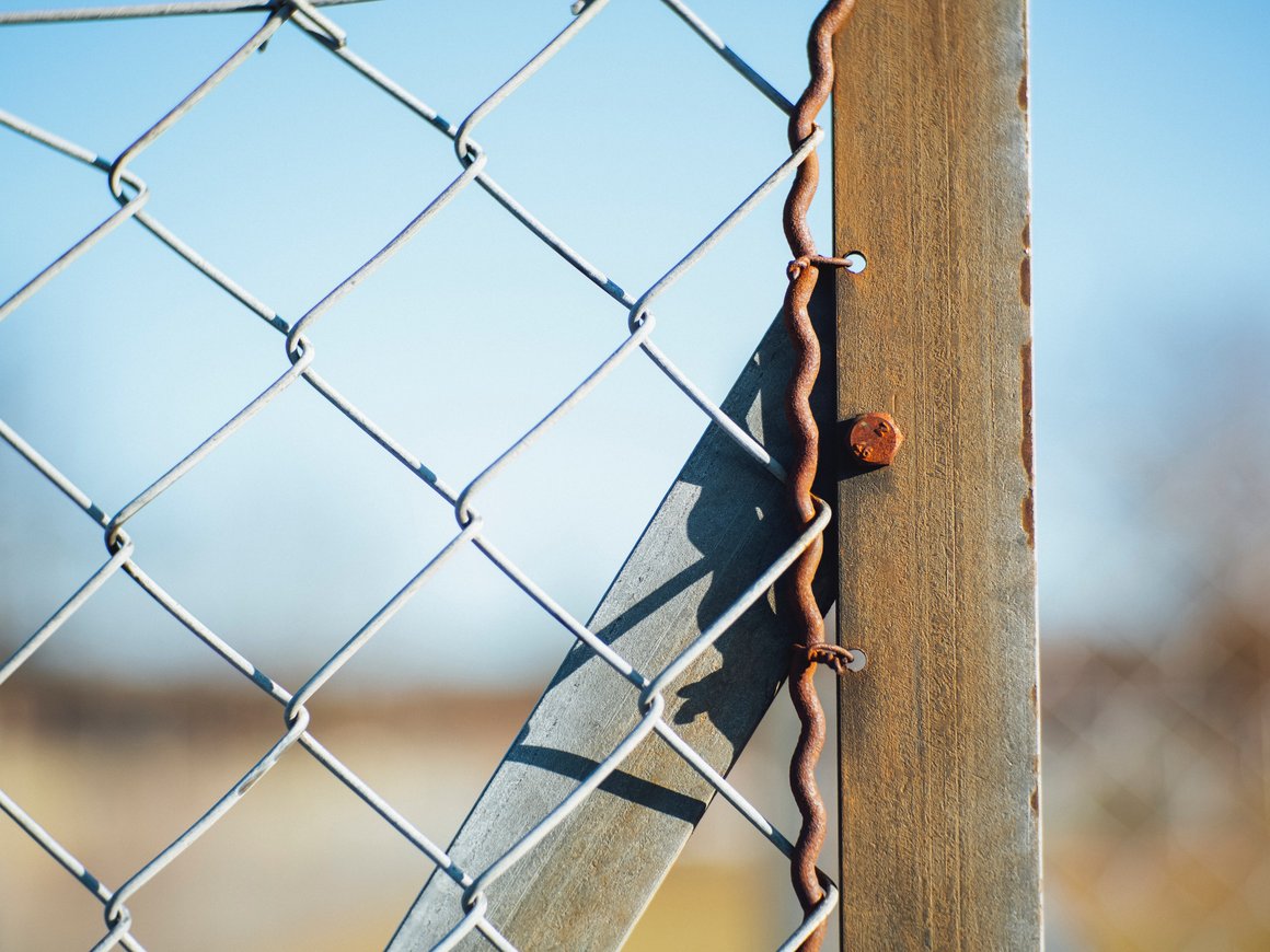 В Совете Федерации предложили запретить выезд за границу людям призывного возраста