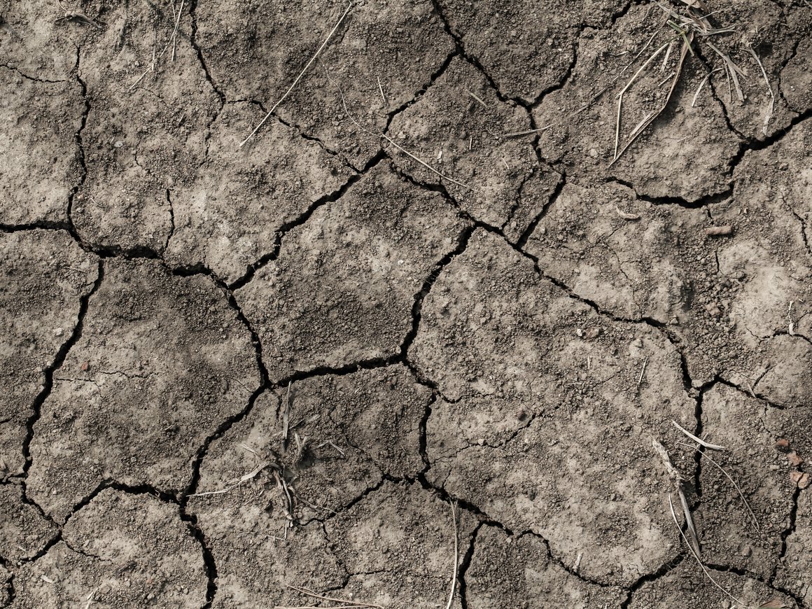 Рост состояния Цукерберга, аномальная жара в Азии и борьба с глобальным потеплением: главное 21 мая