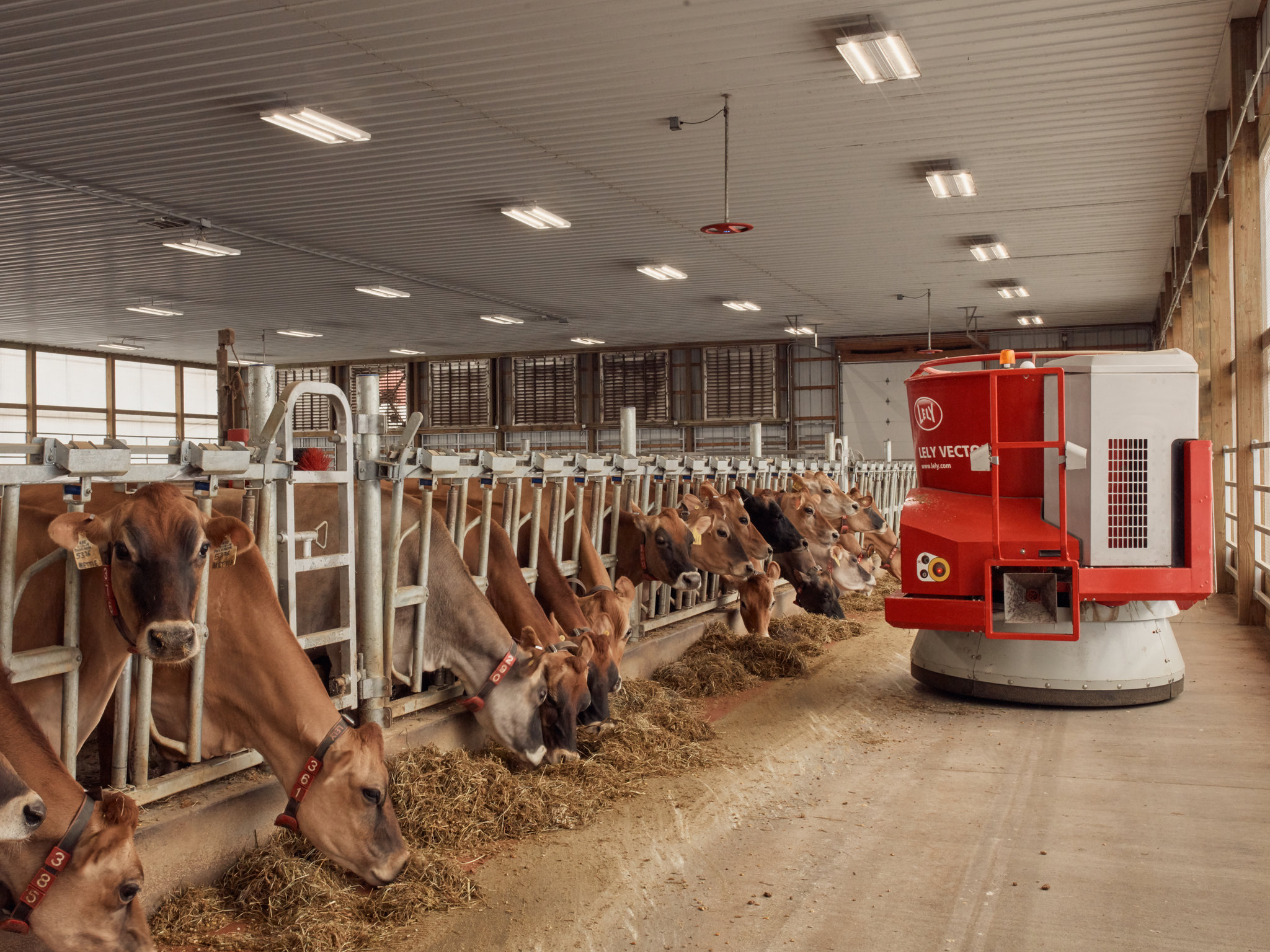 Сельскохозяйственное производство животных. Роботизированная молочная ферма. Роботизированнаяфрема. Роботизированные фермы КРС. Машины для животноводства.