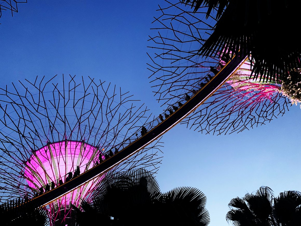 «Золотой век» финтеха в странах АСЕАН: что происходит в регионе сейчас