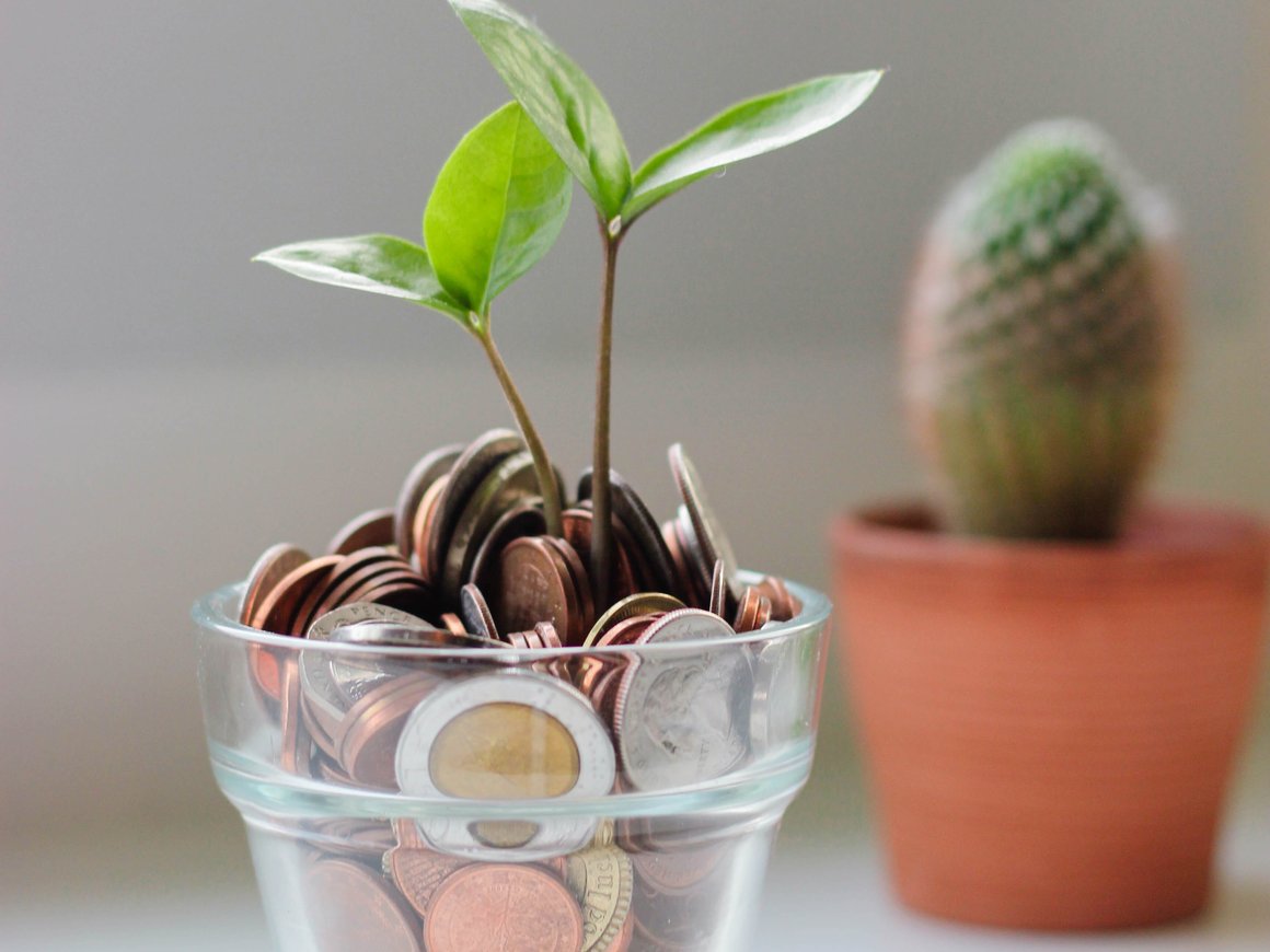 Привлечь внешнее финансирование в 2022 году рассчитывают 34% разработчиков ПО – опрос «Руссофт»