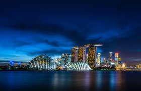 Сингапур запустит цифровую валюту для трансграничных и межбанковских расчетов