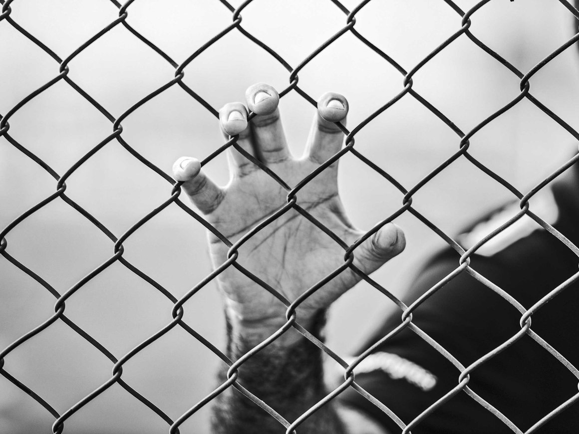 Штраф для уклонистов от мобилизации, новая платежная система «Астрасенд»: главное 1 ноября