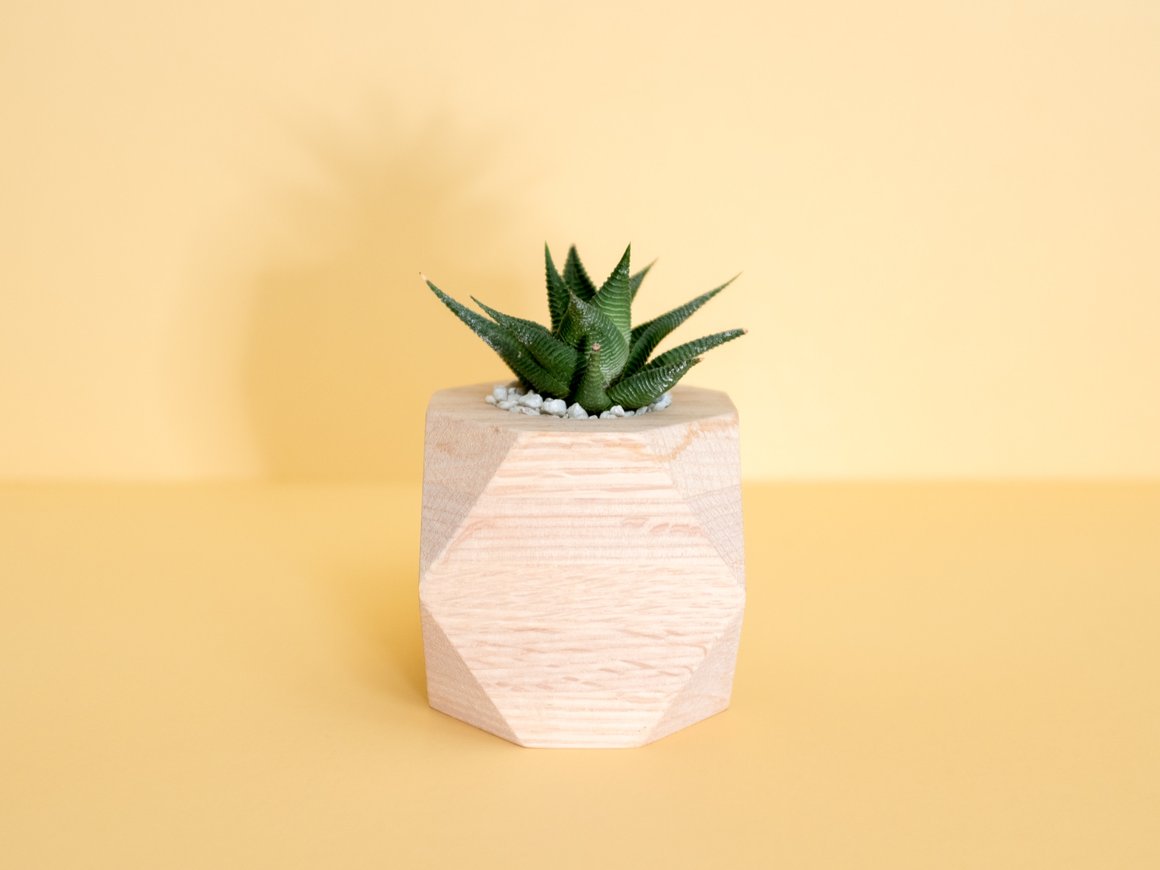 ФРИИ запустил новый курс по Customer development