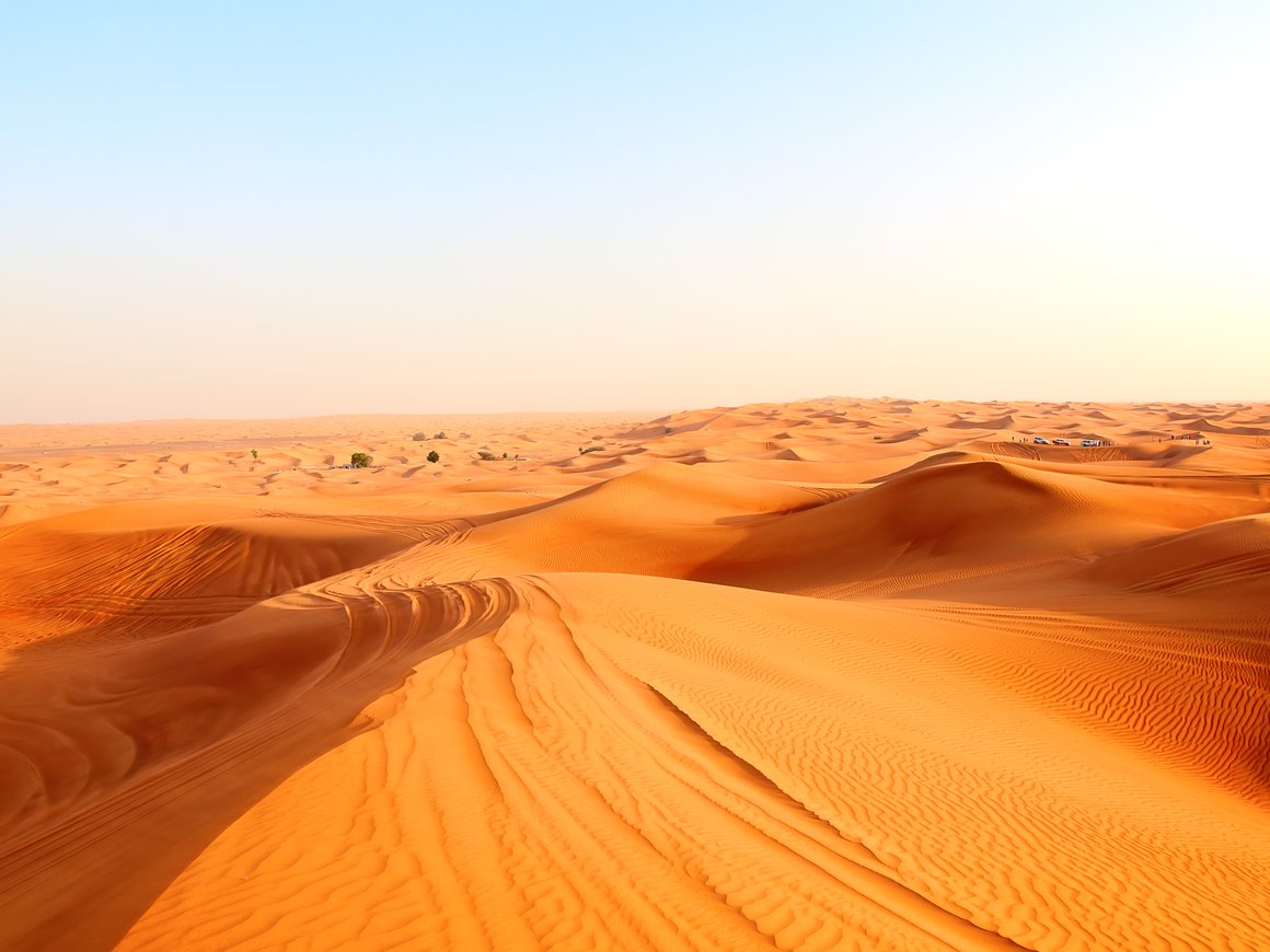 Налогообложение в ОАЭ в 2022 году