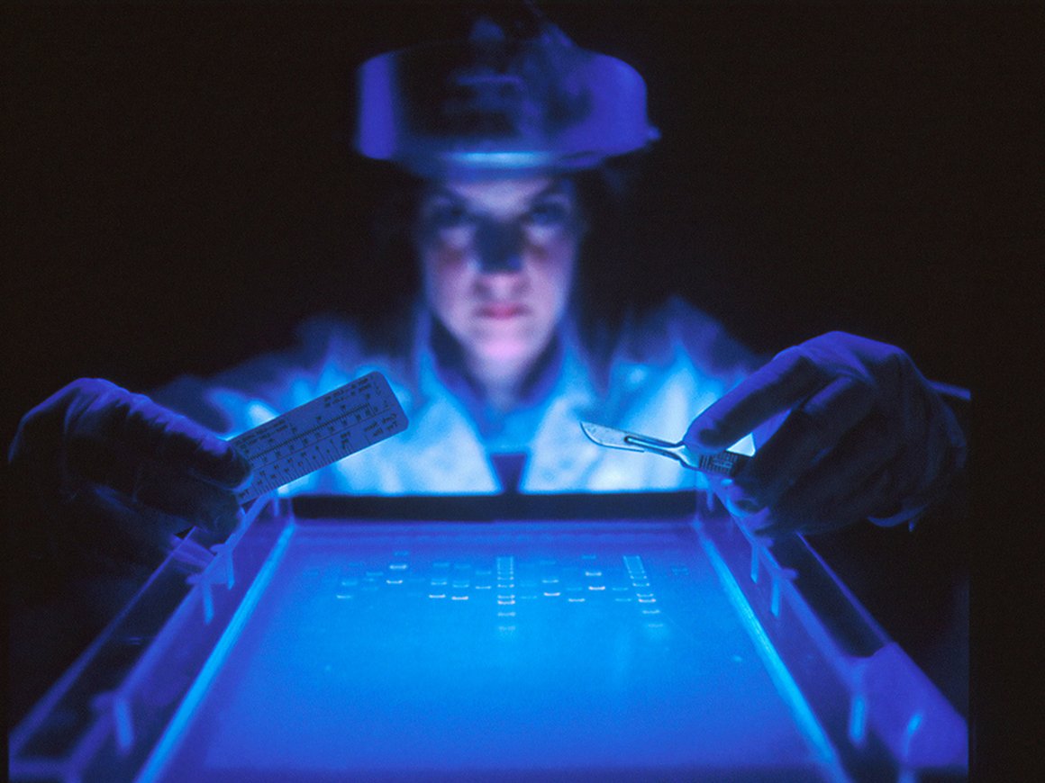 От велокомпьютера до AR в хирургии: 10 технологий будущего в сферах здоровья, благополучия и фитнеса