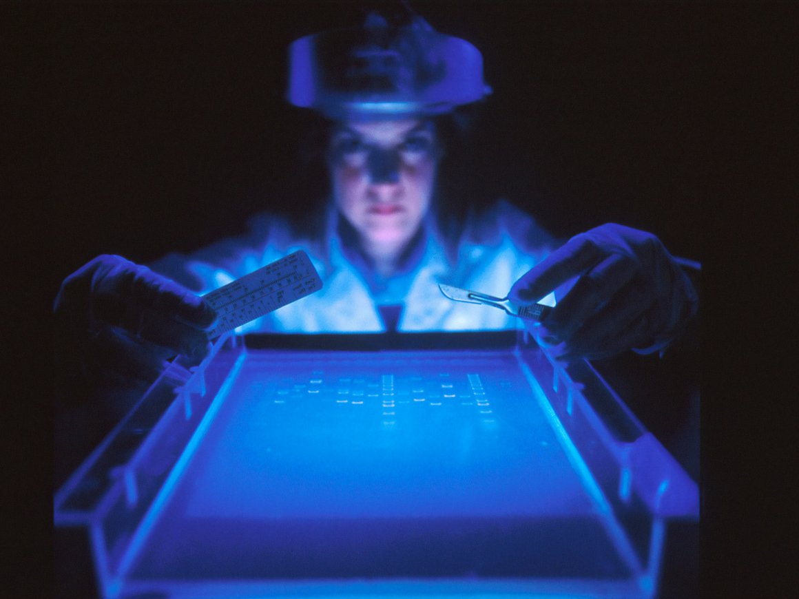 12 многообещающих стартапов, которые ищут методы борьбы с раком