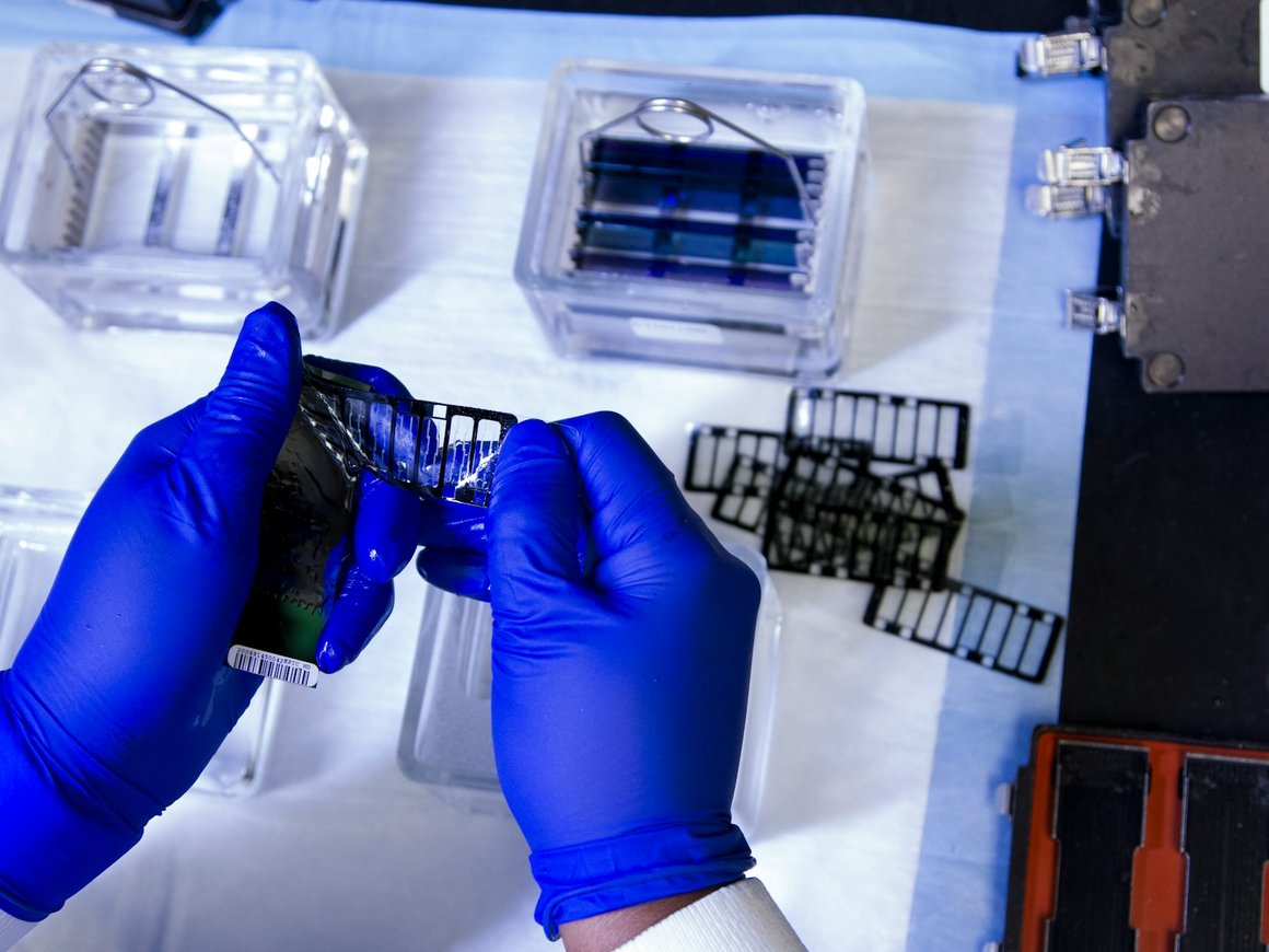 Мосбиржа допустила акции биотех-компании «Промомед» к торгам с 12 июля