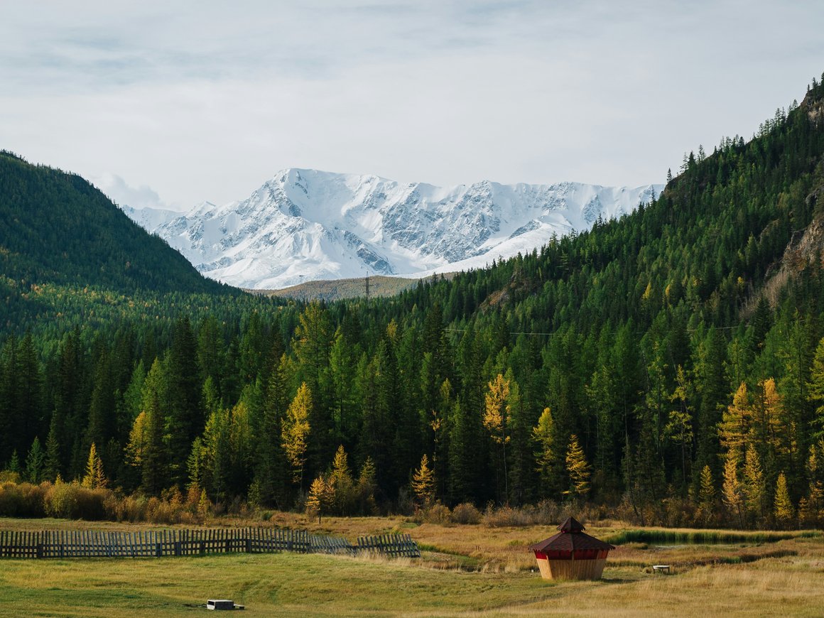 Турагрегаторы попросили пересмотреть лимит на беспроцентную BNPL-рассрочку