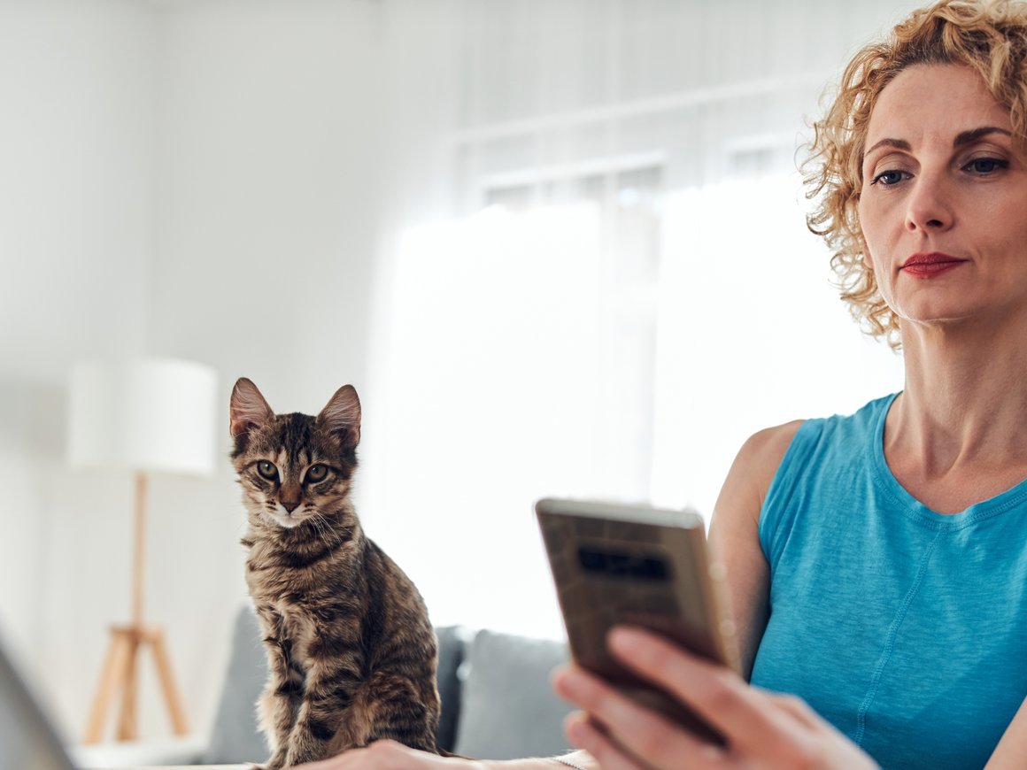 «Хвалилки», пятничные новости и тимбилдинги: как построить корпоративную культуру на удаленке и укрепить бизнес