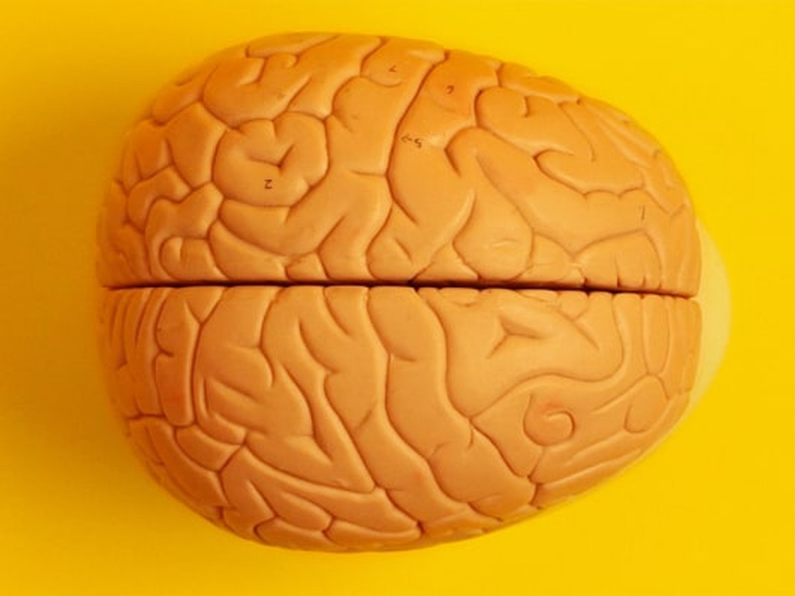 Откуда берутся идеи: секреты Дэвида Линча и других талантливых людей