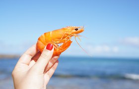 Производитель альтернативных морепродуктов Aqua Cultured Foods научился имитировать мышечную ткань