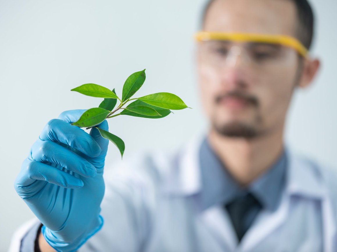 «Сбер» учредил собственную научную премию в Год науки и технологий в России