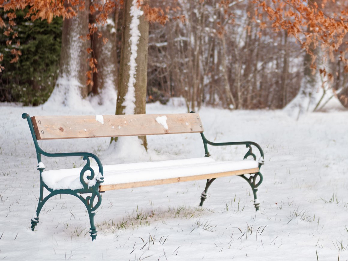 В Подмосковье обустроят 90 лесопарков и 4 пляжа к 2024 году