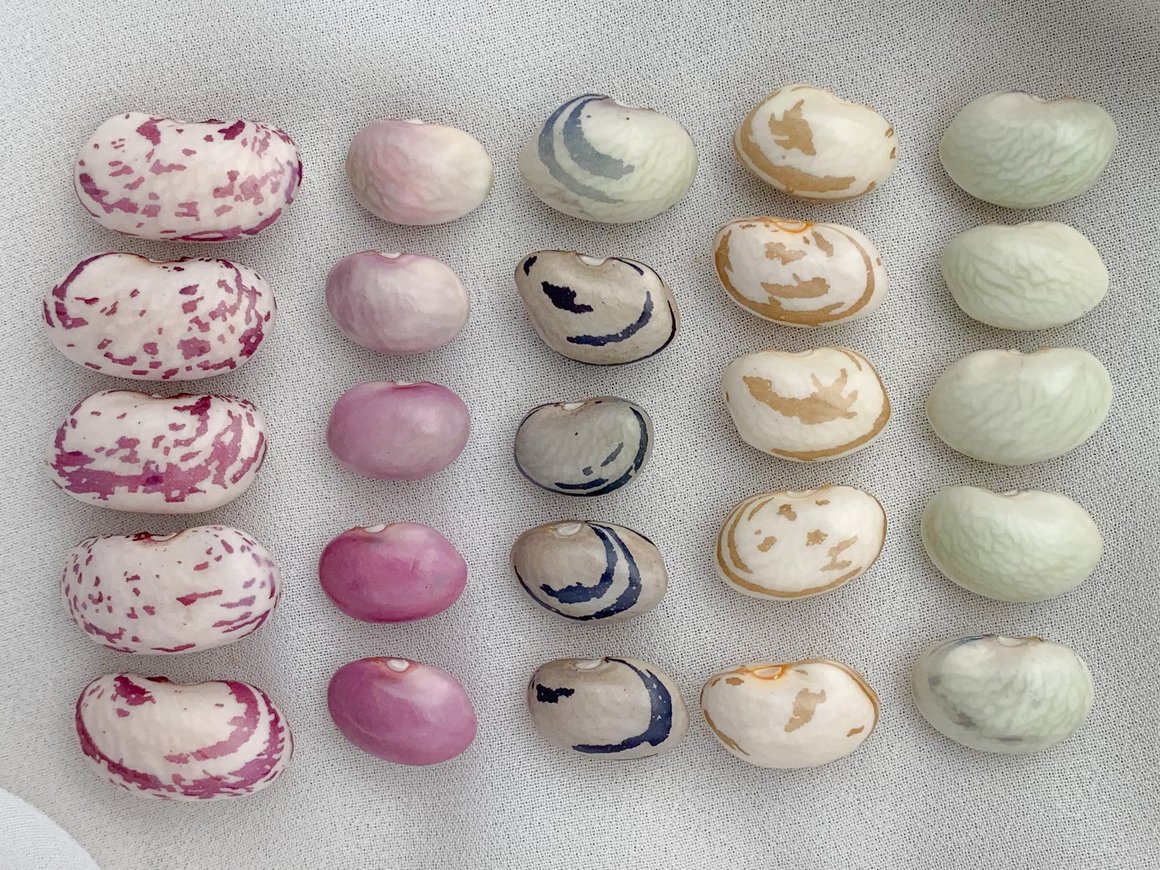 Минпромторг РФ запустил «Биржу импортозамещения»