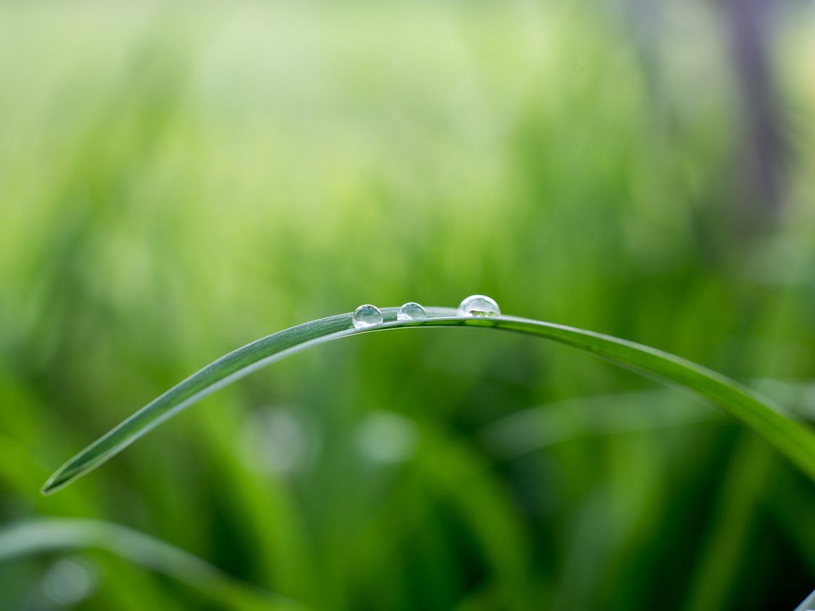 БФ «Система» проведет круглый стол на тему карьеры в ответственных компаниях