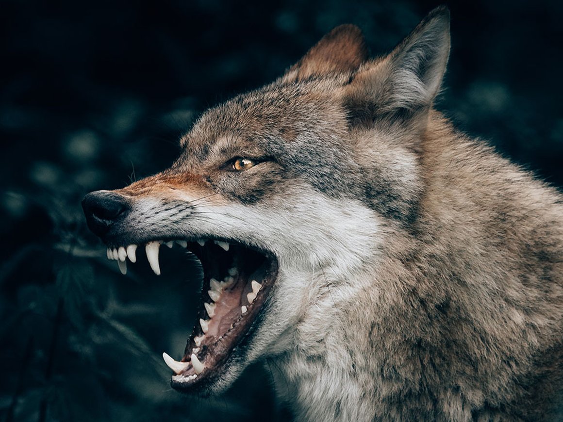 4 личных качества, которые говорят, что вы плохой лидер