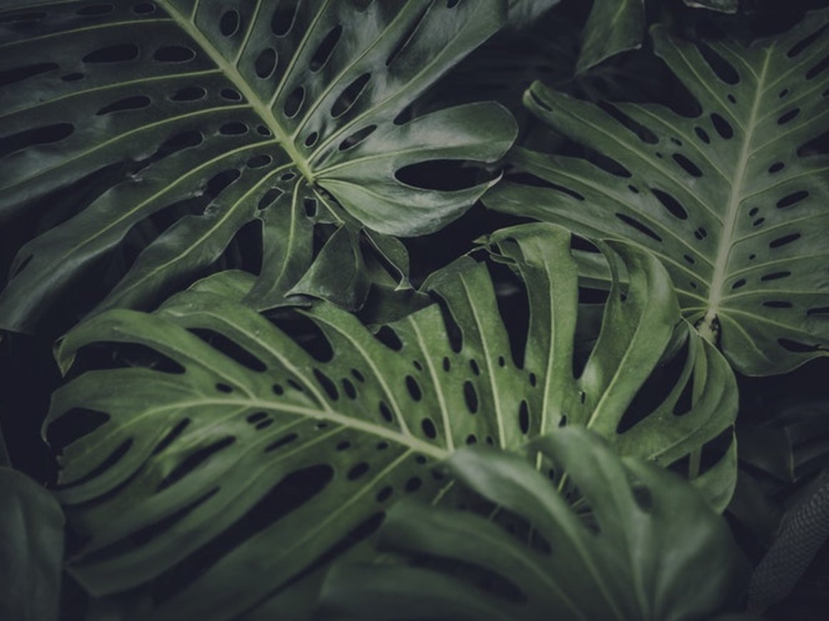 Исследователь из Стэнфорда считает, что мы не должны работать до 40 лет