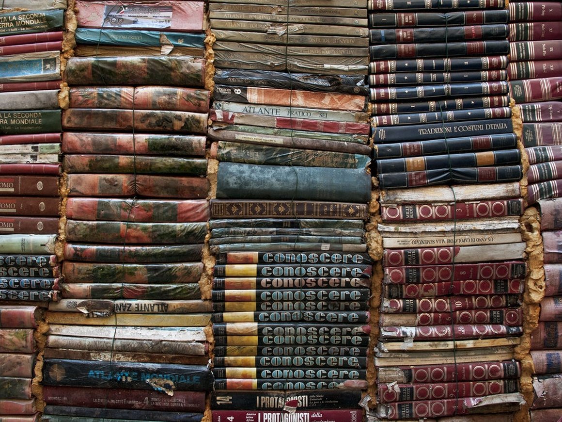 Внутри мира Викиданных – свободной базы знаний, которую могут использовать как люди, так и машины