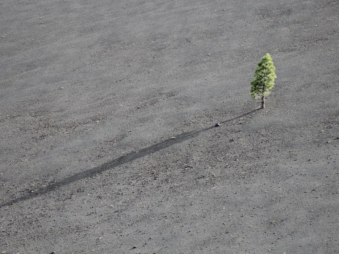 8 бессознательных ошибок, которые делают предприниматели