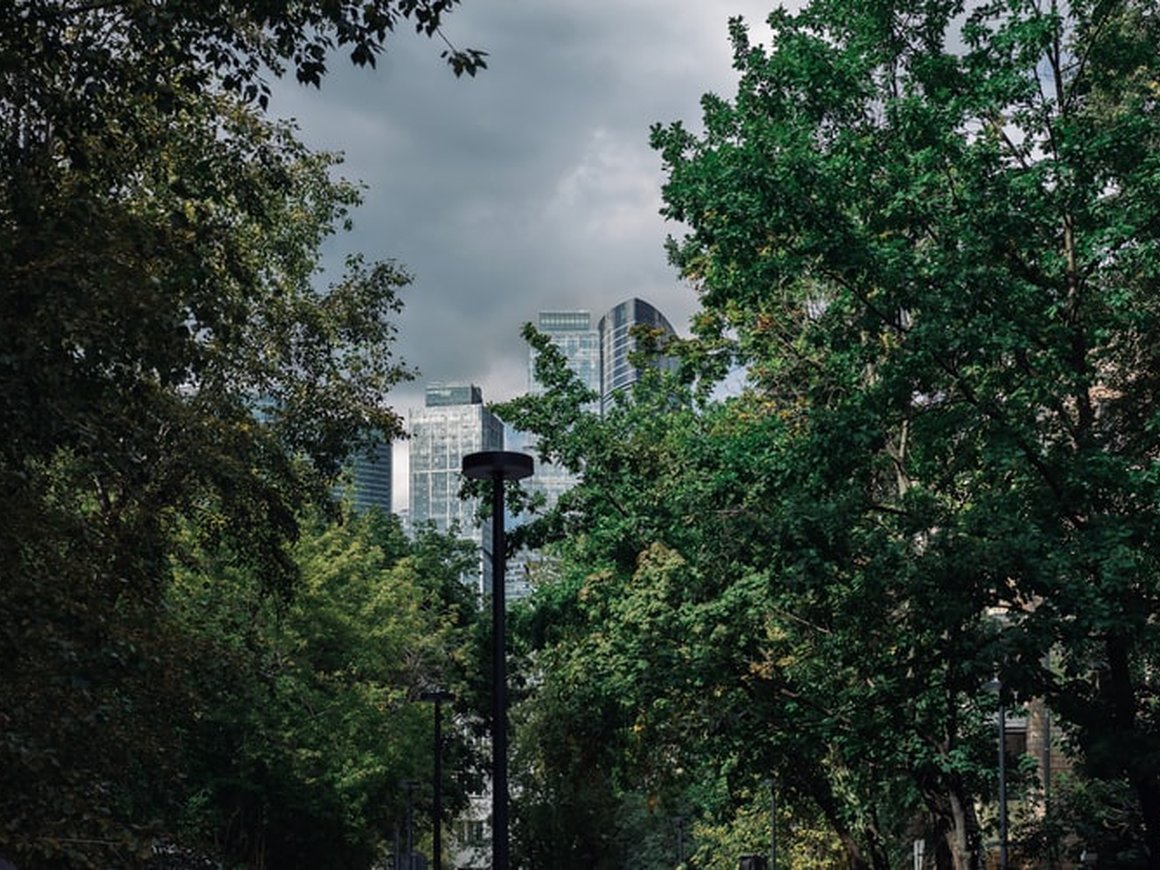 Москва вошла в тройку самых «зеленых» регионов России