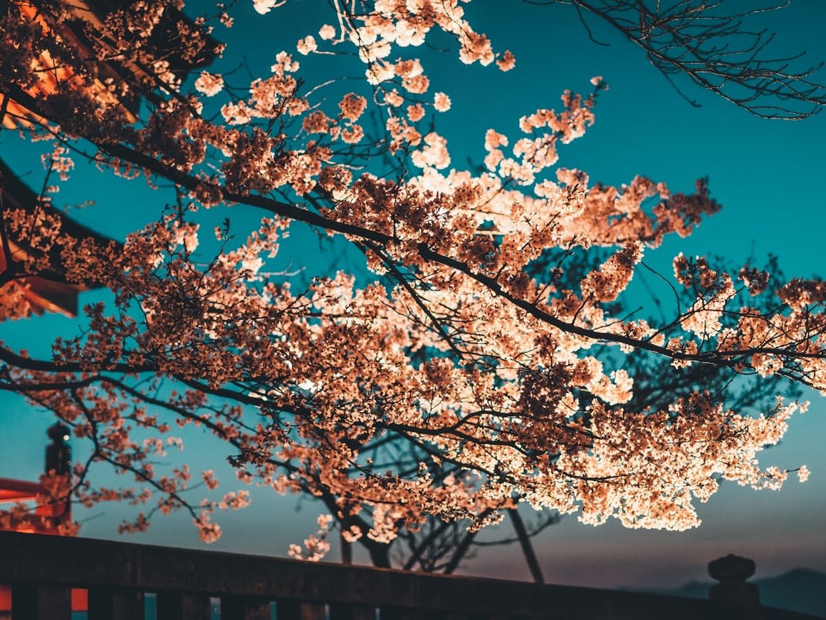 Как внедрить Kanban и избежать хаоса в разработке