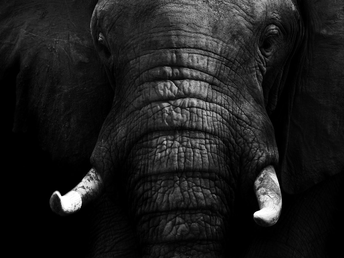 Как много банки знают о своих клиентах и не опасно ли это?