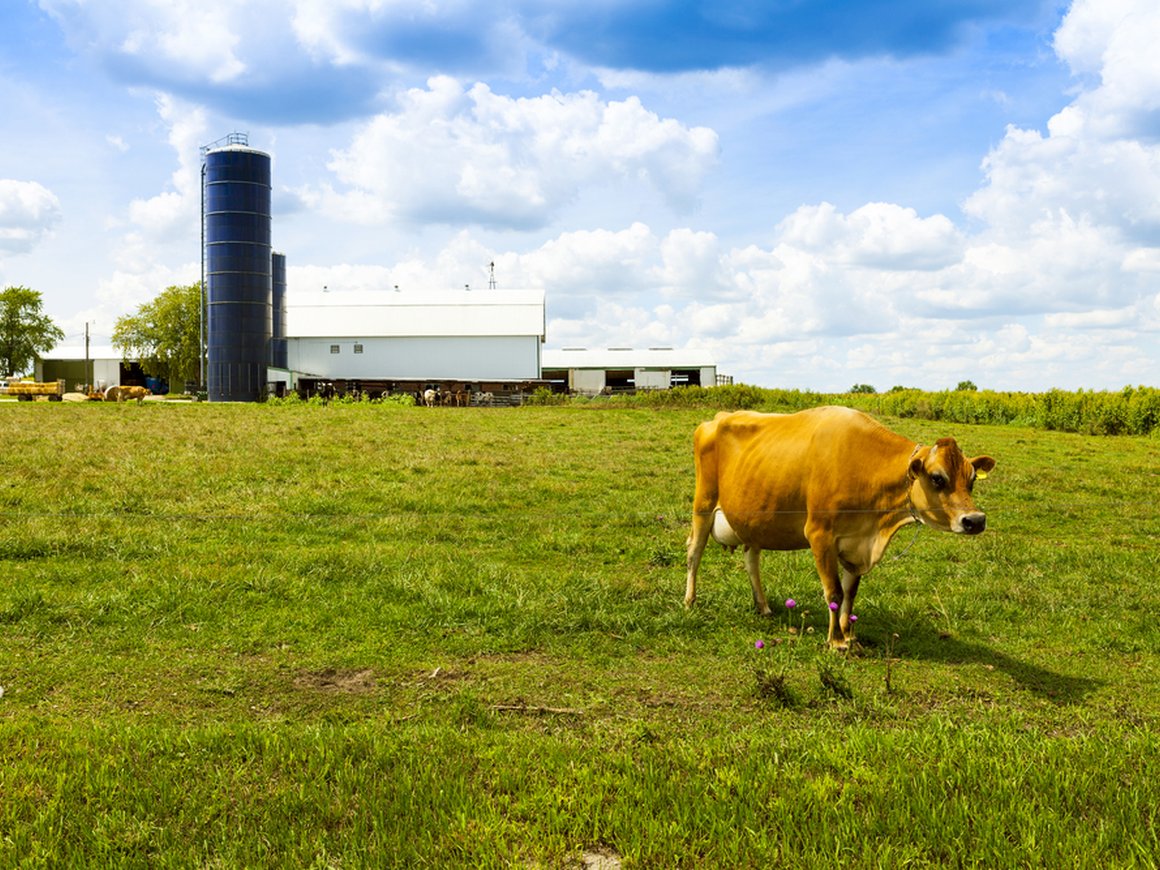 Sistema VC и партнеры вложили €7,8 млн в агротех-стартап Connecterra