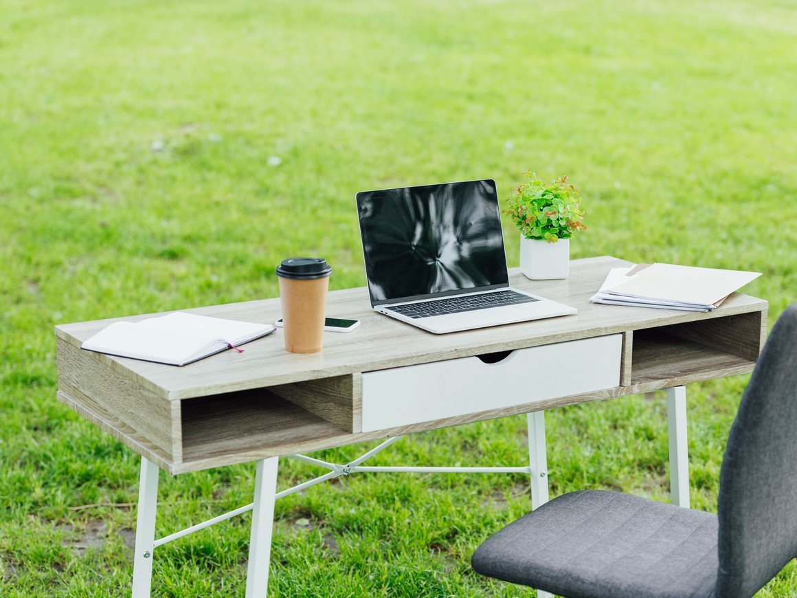 Как сделать офис eco-friendly: 7 простых шагов