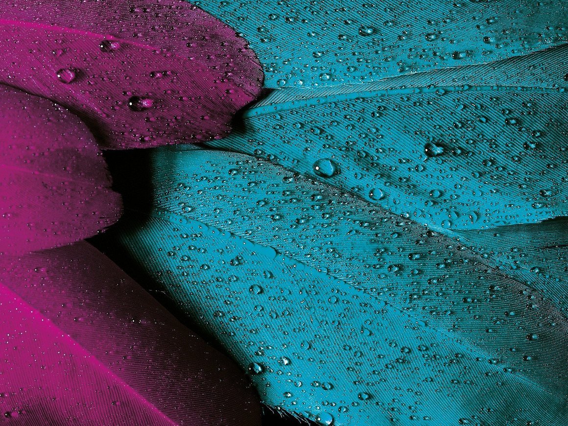 «Синдикат – это инвесторы, которые фандрайзят за вас». Что мы узнали о синдицированных сделках