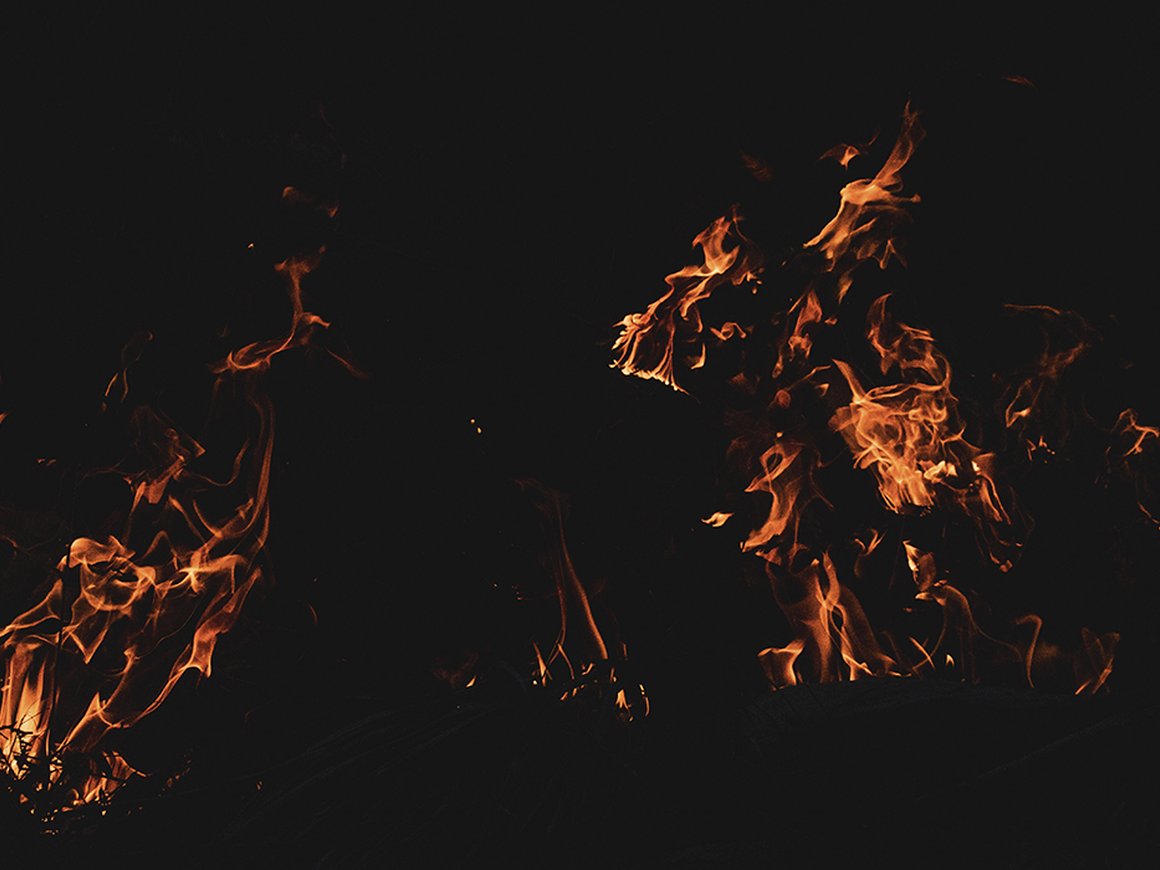 Как лесные пожары влияют на окружающую среду?