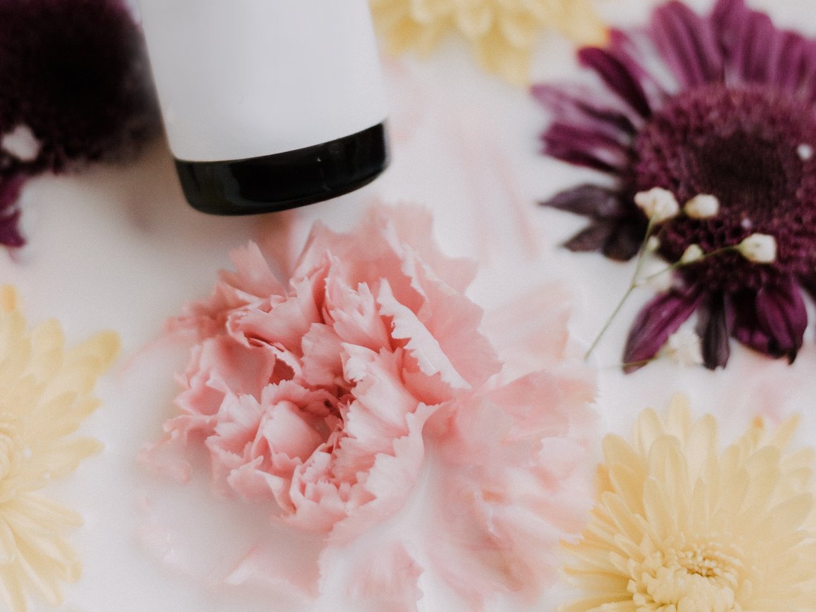 EdTech-платформа для женщин «Академия перемен» привлекла 60 млн рублей