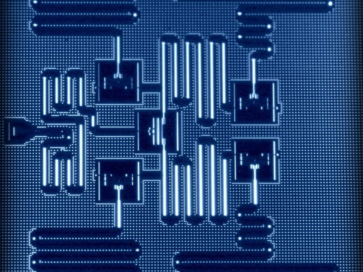 IBM запустит доступ к квантовому компьютеру на 20 кубитов до конца года