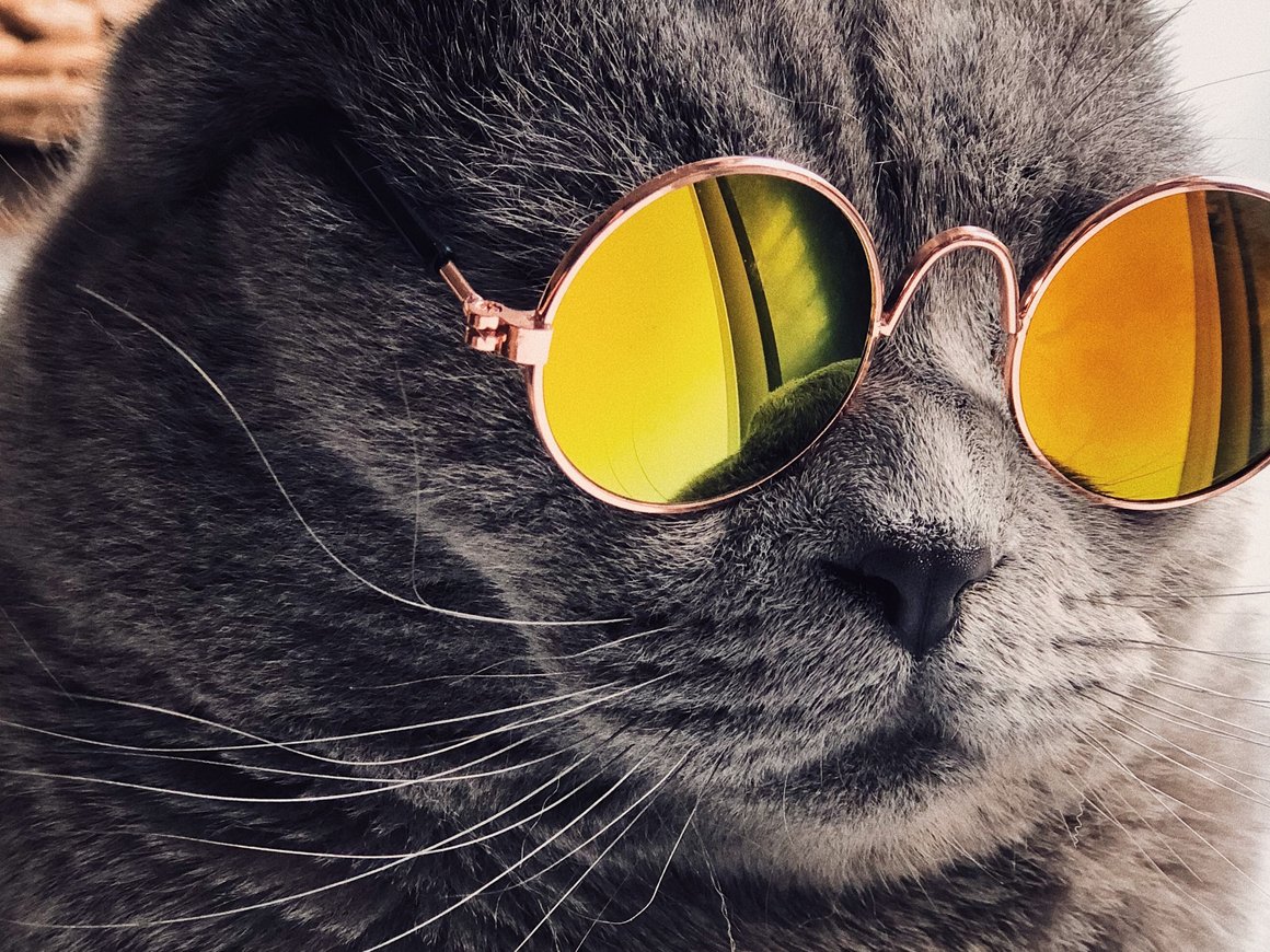 Хайп не поможет: пять причин не внедрять маркетинговые тренды в бизнес