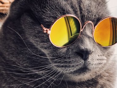 Хайп не поможет: пять причин не внедрять маркетинговые тренды в бизнес