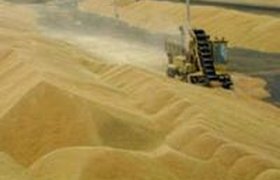 Урожай зерна в России в этом году ожидается 76-79 млн тонн