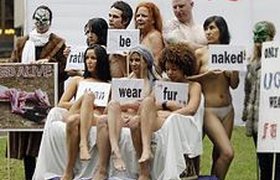 Австралийцы разделись в знак протеста против меховой индустрии. Фото