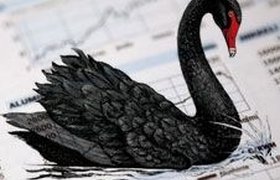 Мировой финансовый кризис объяснили эффектом "черного лебедя"