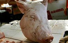 Запрет на импорт свинины может привести к росту цен на мясо