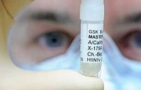 GlaxoSmithKline получит от вакцины от "свиного гриппа" более $4 млрд